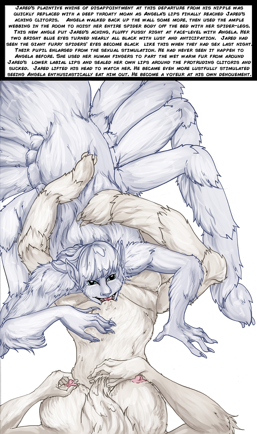 Arania Comic Archive O3 image number 161