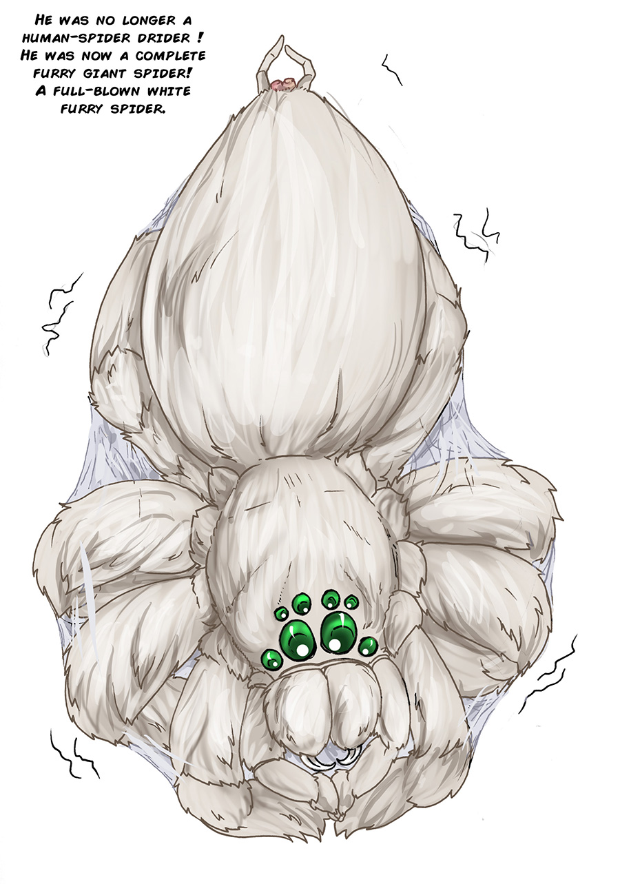 Arania Comic Archive O3 image number 178