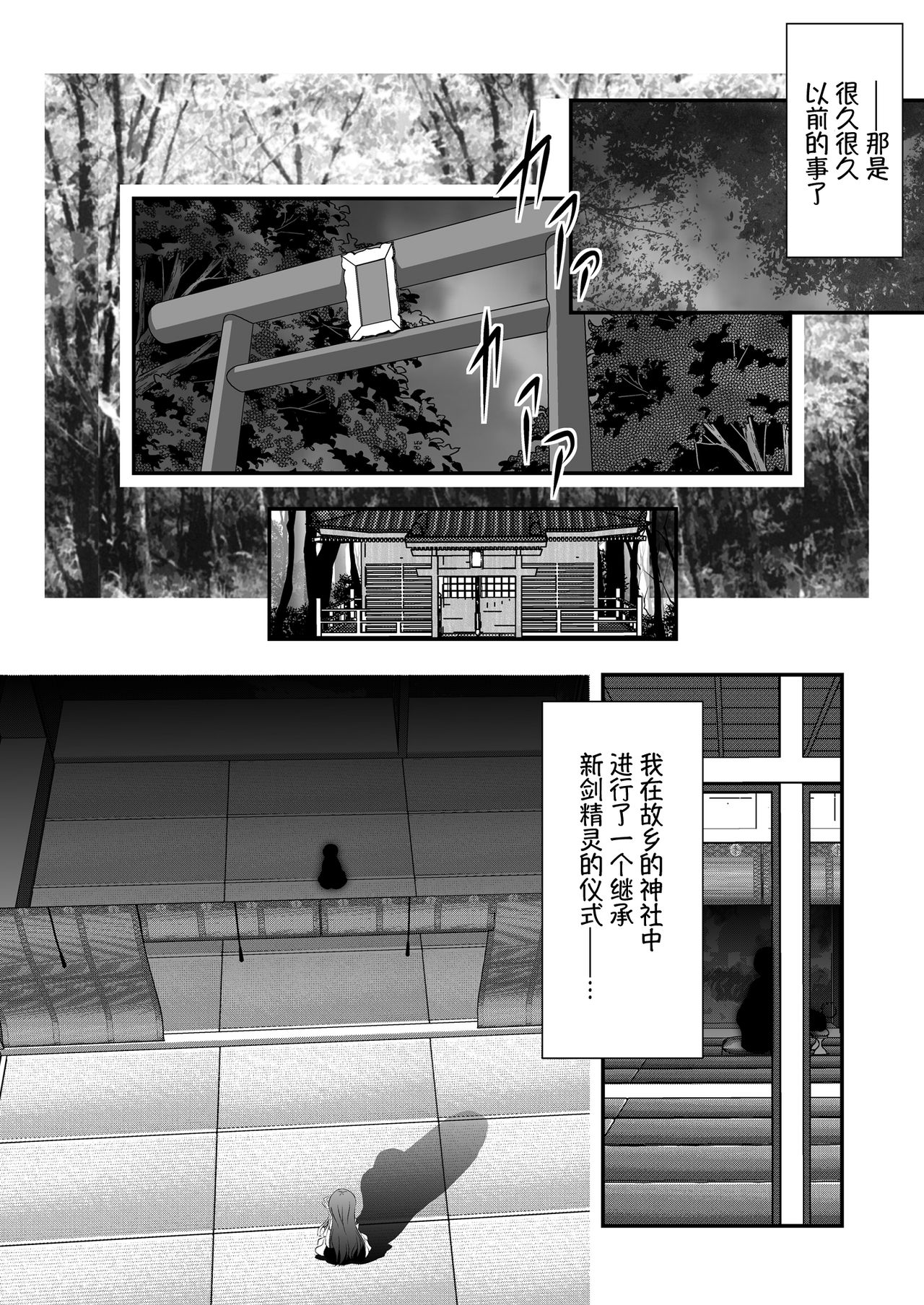 [MirrorWorld (Mira)] Iyarashii Ohime-sama wa Okirai desuka? (Seiren Tsukai no Blade Dance) [Chinese] [脸肿汉化组] [Digital] 图片编号 4