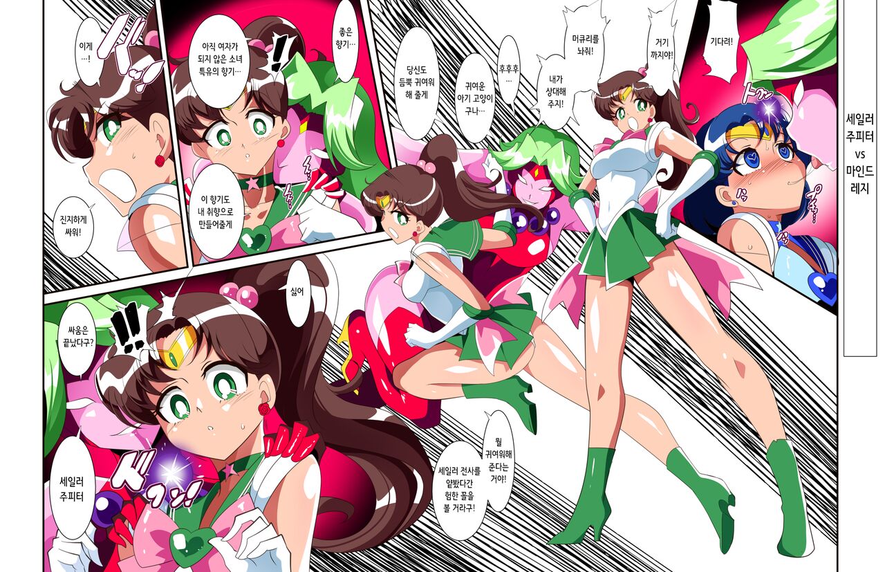 [Warabimochi] Sailor Senshi no Kunan | 세일러 전사의 고난 (Bishoujo Senshi Sailor Moon) [Korean] image number 11