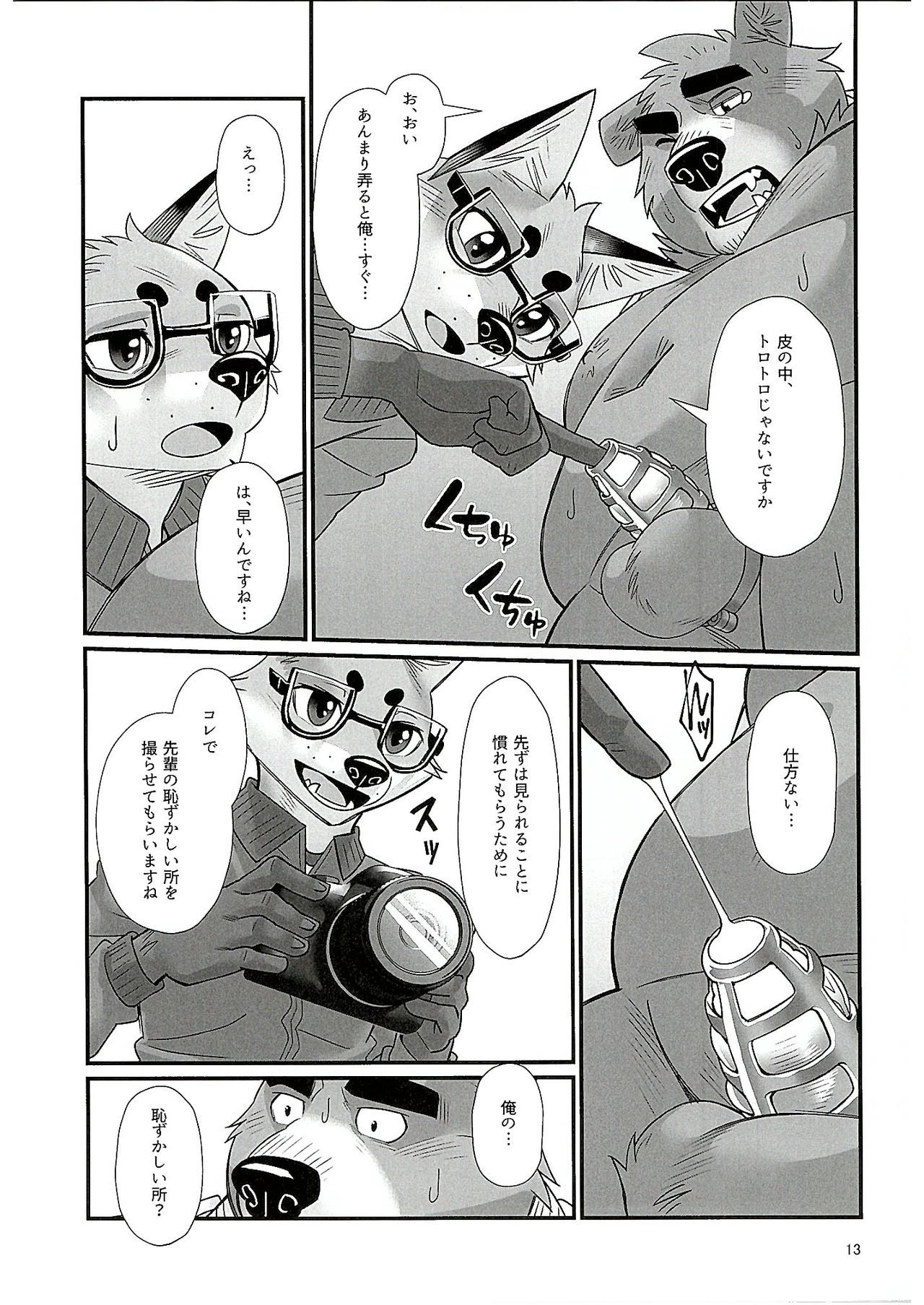 (Kansai! Kemoket 7) [Beartopia (Oaks)] Mental Training numero di immagine  12