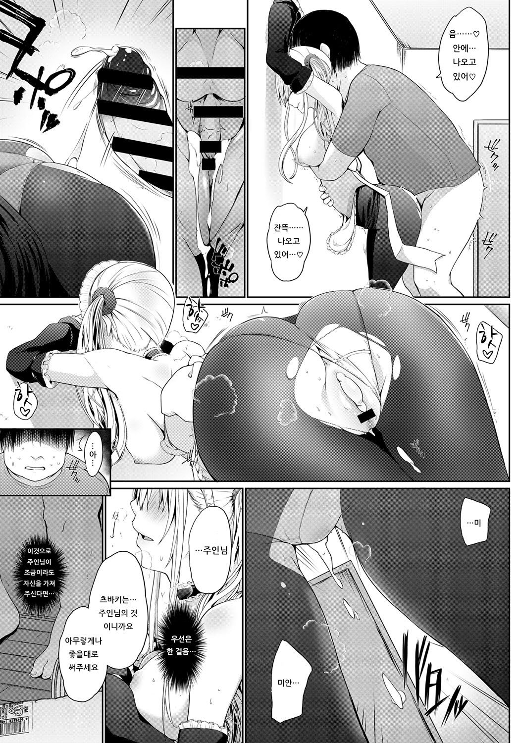 [Kaiduka] Houshi Shuzoku ga Yattekita! ~Houshiteki Hikikomori Kaishohou~ (COMIC Anthurium 2019-05) [Korean] [Digital] image number 7