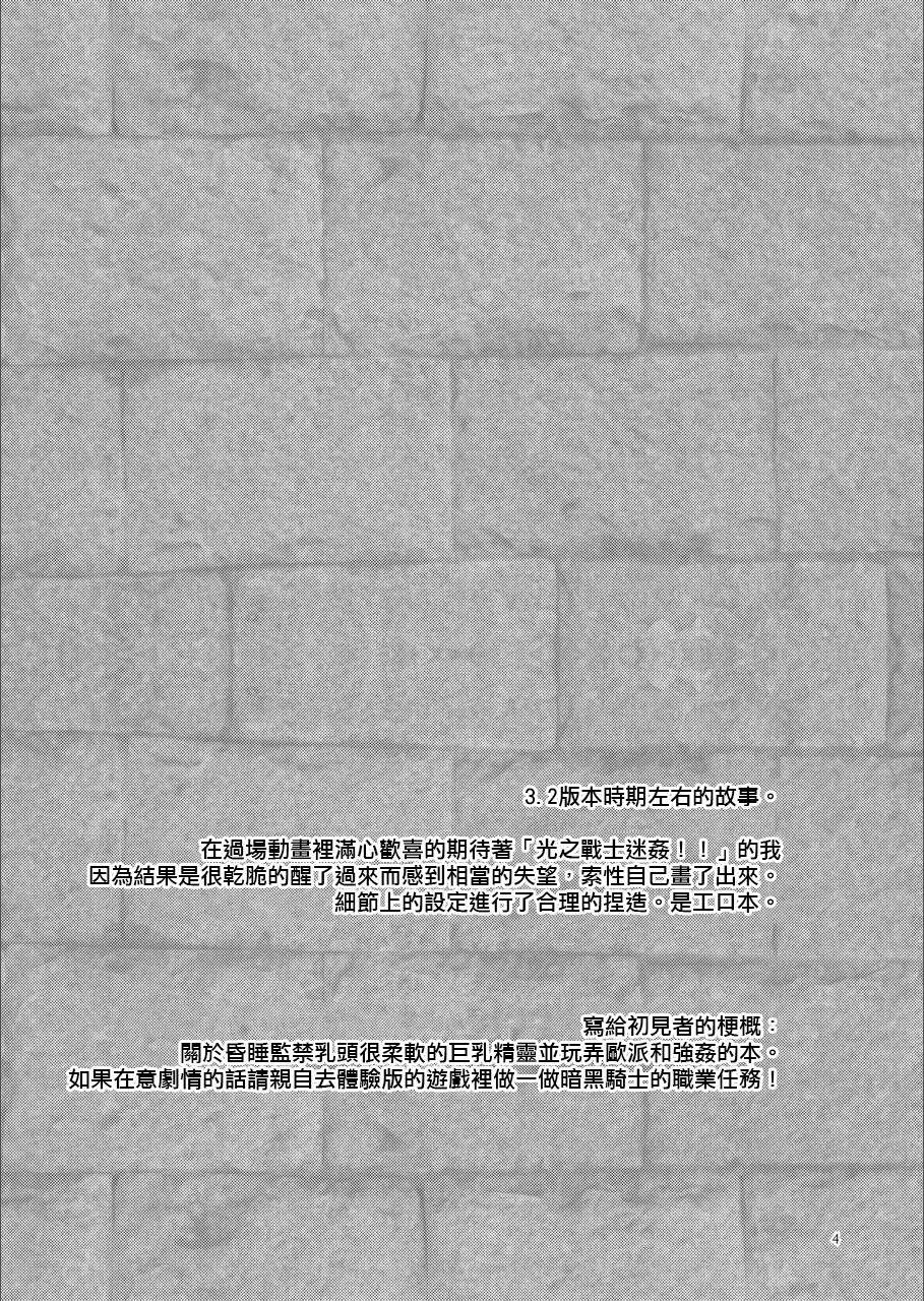 [Build-Tetsu (Ninomiya Hitomi)] A heretic to pretending be a hero (Final Fantasy XIV) [Chinese] [作死战士少年渣个人翻译] 图片编号 3