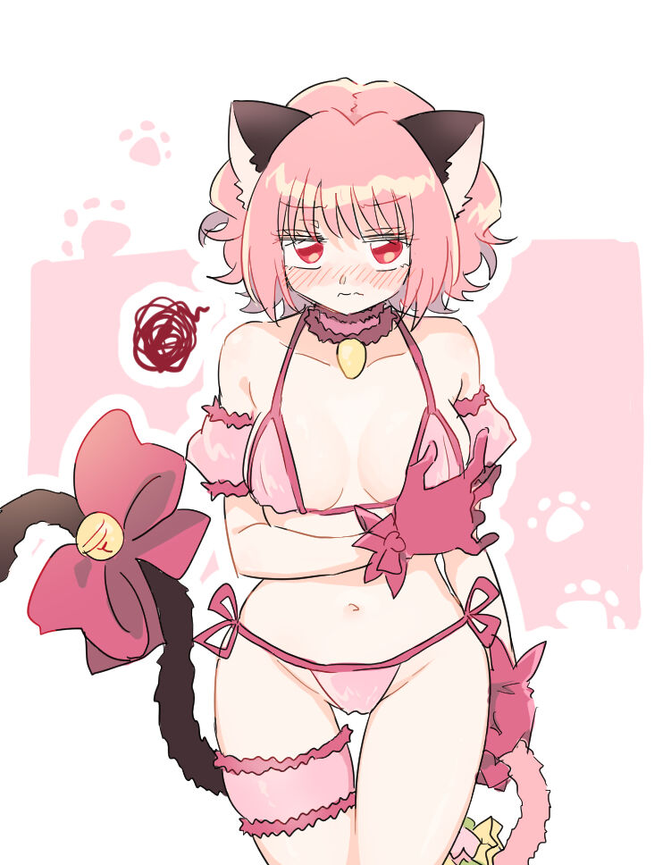 [×○)] Kishu ichi ero e matome 5(Tokyo Mew Mew) 이미지 번호 2