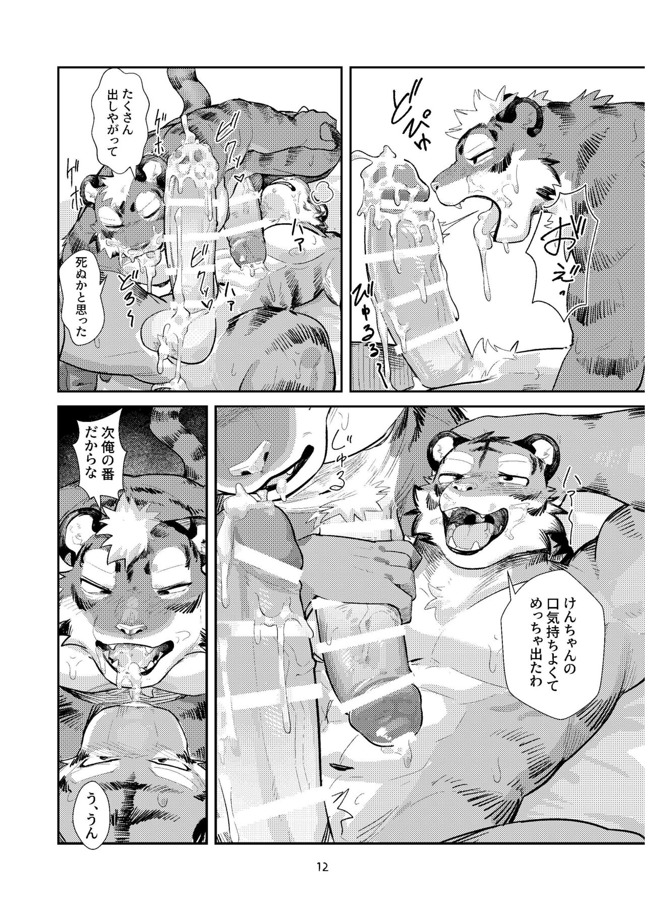 (Shinshun Kemoket 10) [Zerozero (Uro)] Hajimete wa Tora no Ana de! Bildnummer 12