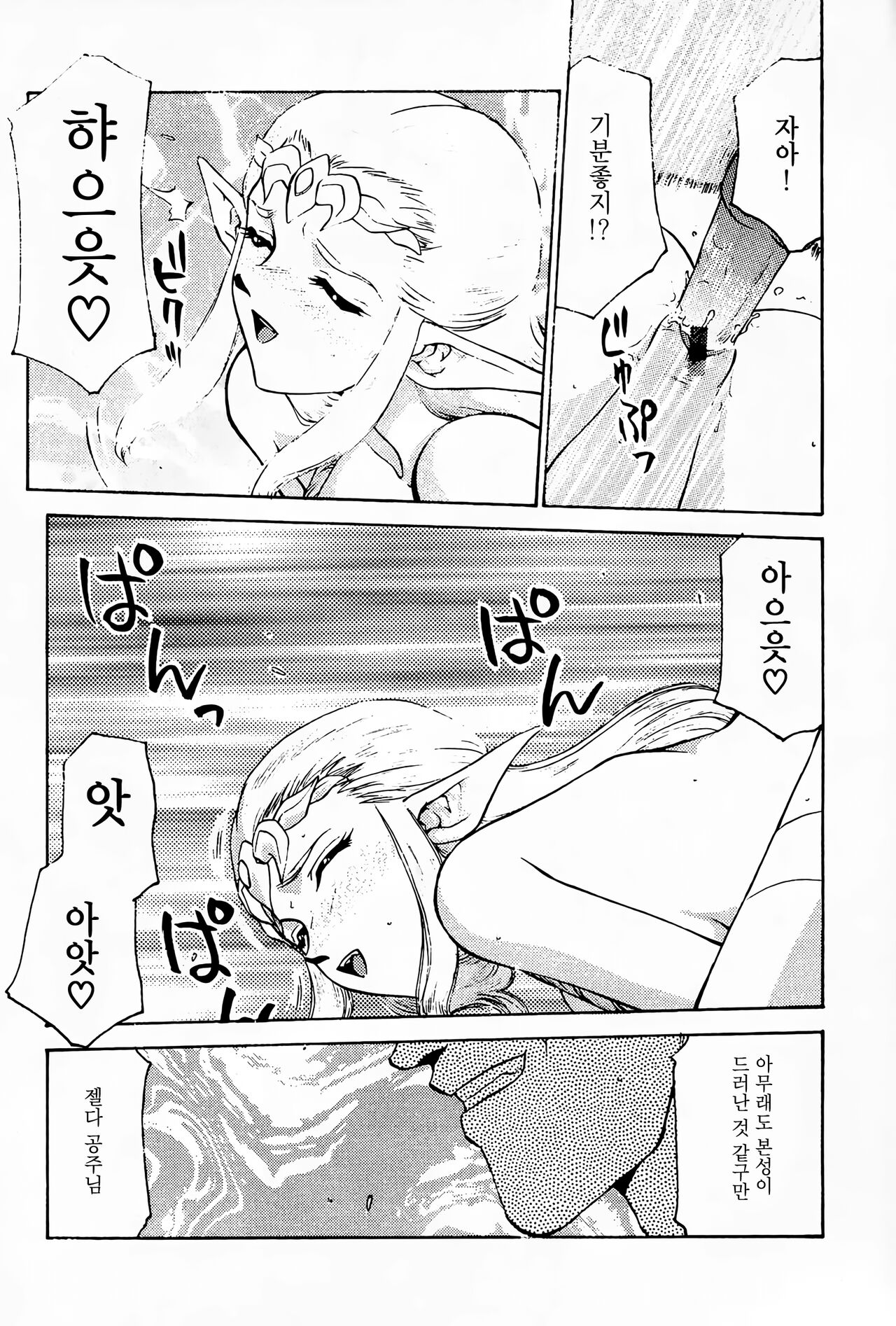 (CR25) [LTM. (Taira Hajime)] NISE Zelda no Densetsu Prologue (The Legend of Zelda) [Korean] Bildnummer 21