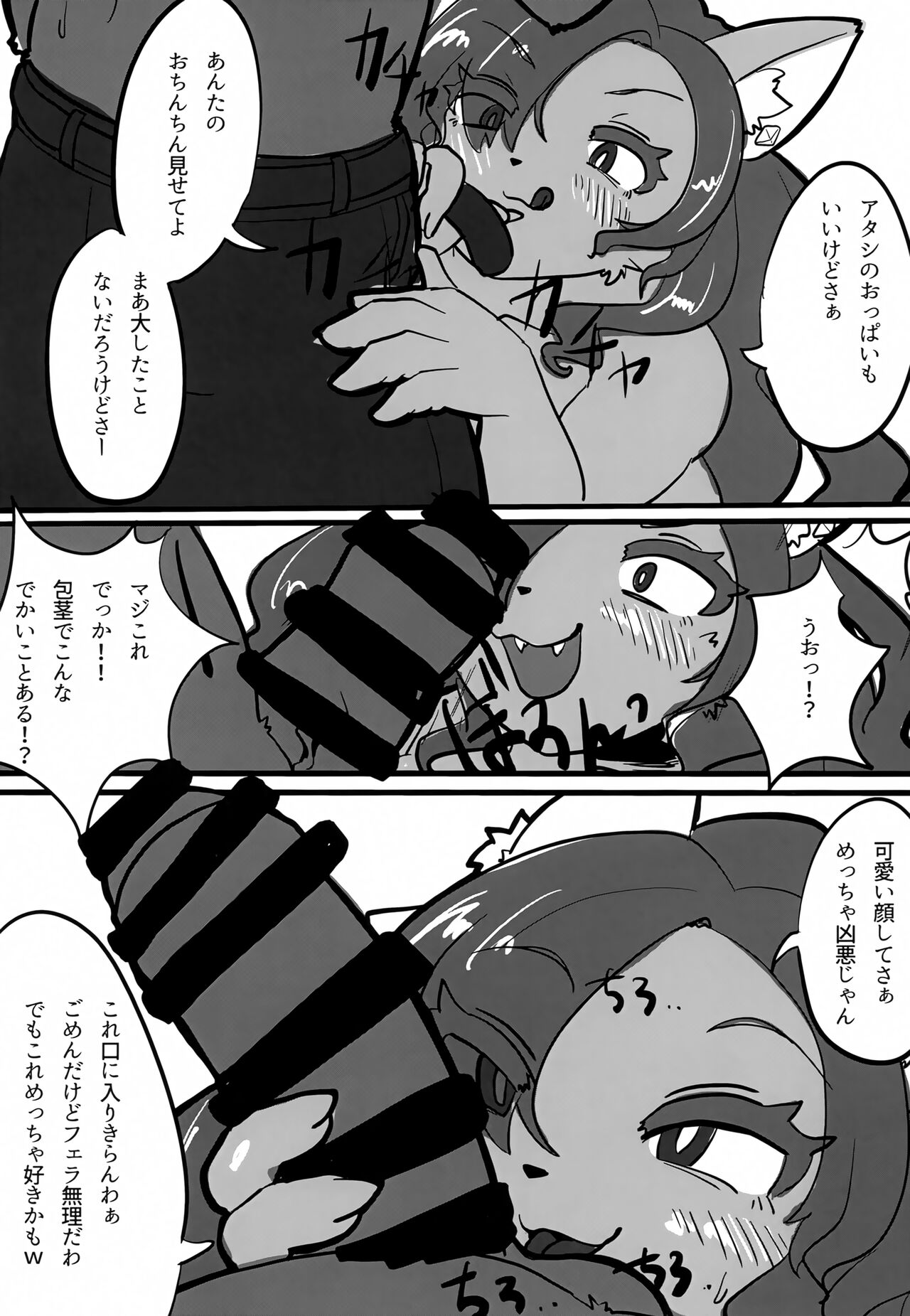 (Kemoket 14) [CONI3 (coni)] BigDoe 画像番号 9