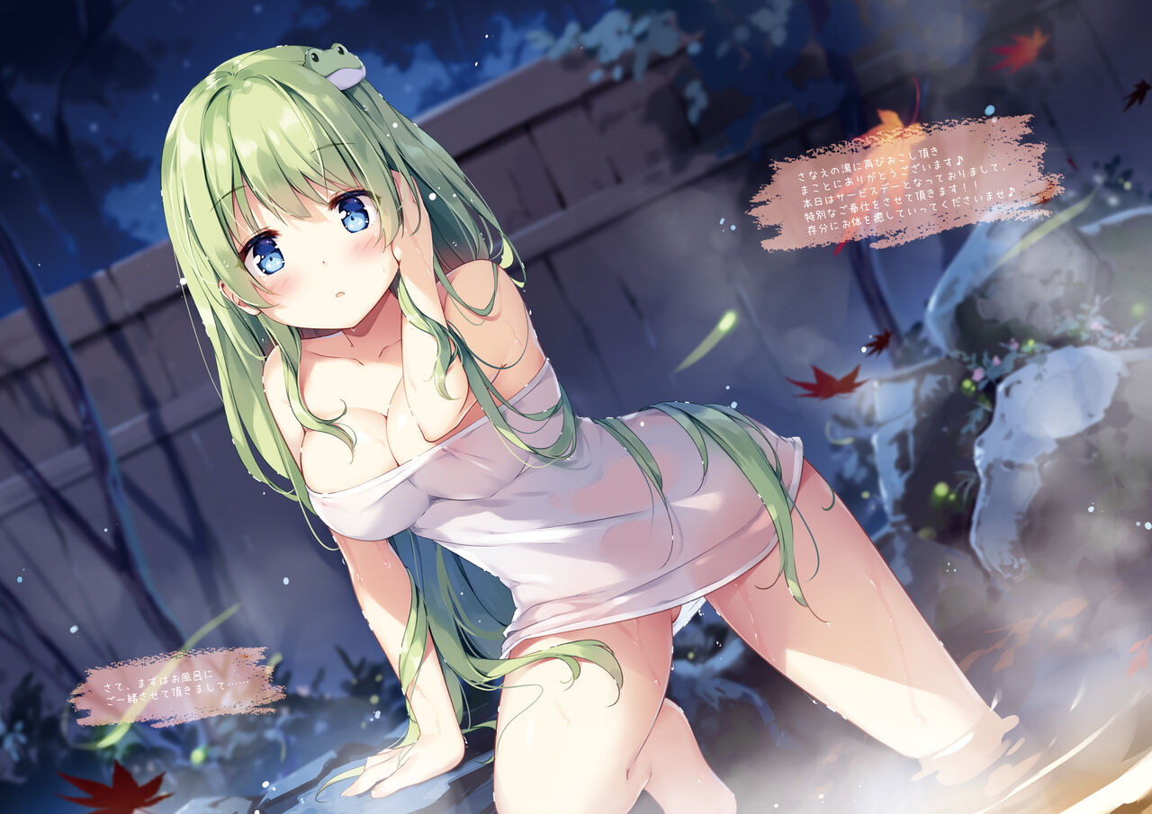 [Nanairo Otogizoushi (Miyase Mahiro)] SANA-Recollection (Touhou Project) [Digital] 이미지 번호 11