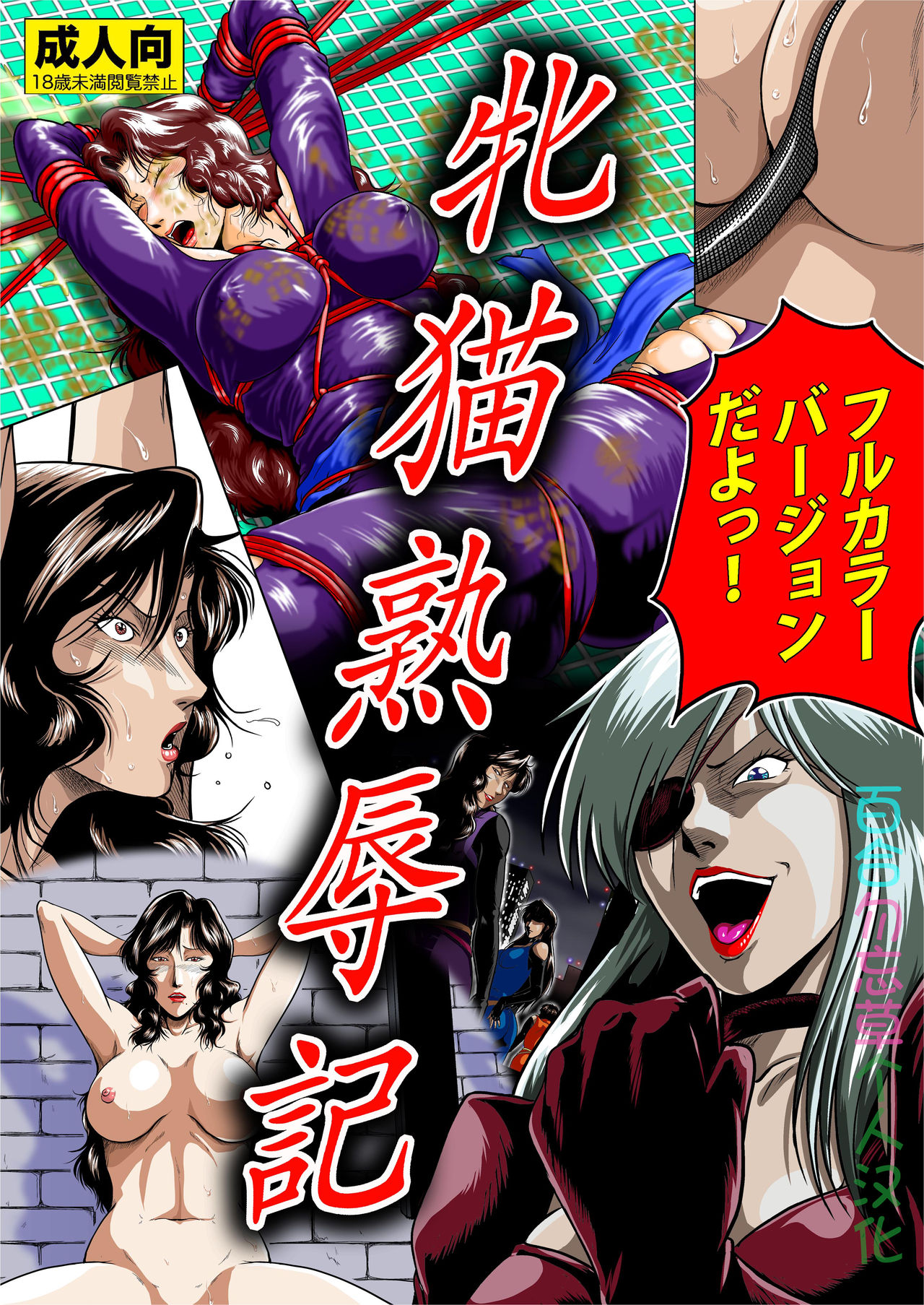 [Sae (Umiyama Misaki)] Mesuneko Jukujokuki (Cat's Eye) [Chinese] [百合勿忘草个人汉化] [Digital] 图片编号 1