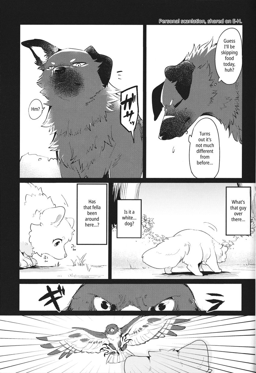 (Kemoket 14) [Kaiten ParaDOGs (Minaga Tsukune)] Kokoro Karu Made | The Tanuki and the Hound [English] Bildnummer 11