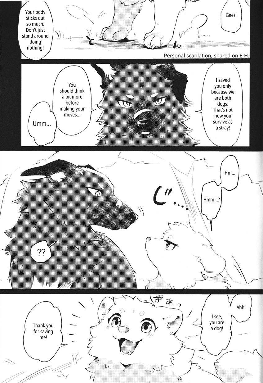 (Kemoket 14) [Kaiten ParaDOGs (Minaga Tsukune)] Kokoro Karu Made | The Tanuki and the Hound [English] Bildnummer 13