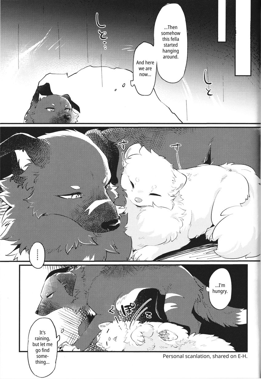 (Kemoket 14) [Kaiten ParaDOGs (Minaga Tsukune)] Kokoro Karu Made | The Tanuki and the Hound [English] Bildnummer 15