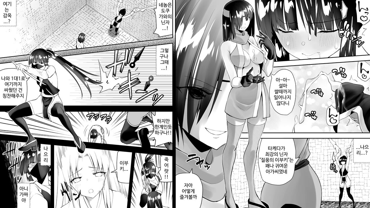 [Kimura Rongaku] Kunoichin [korean] numero di immagine  64