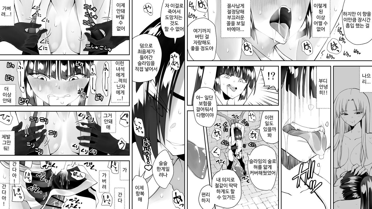 [Kimura Rongaku] Kunoichin [korean] numero di immagine  68