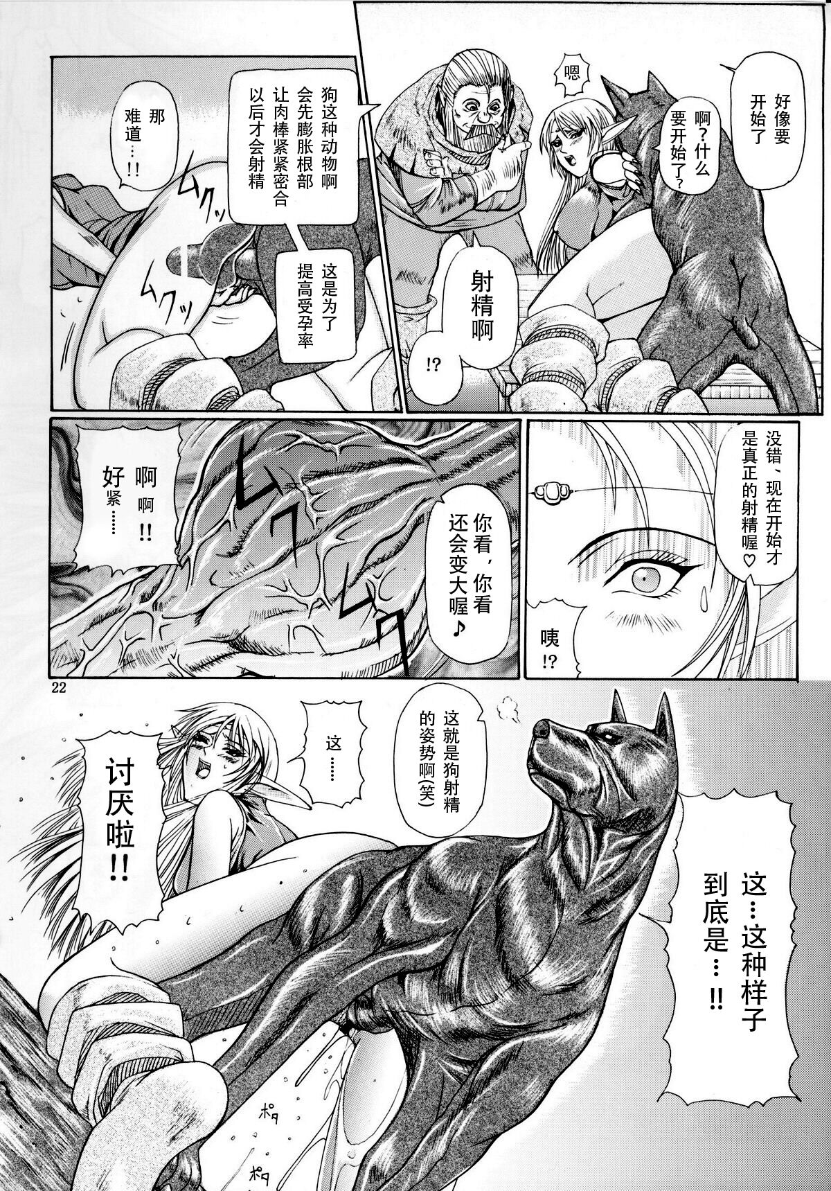 [LUCRETiA (Hiichan)] Ken-Jyuu 3 Sonnet - La Danse de la Fee (Record of Lodoss War) (chinese) Bildnummer 21