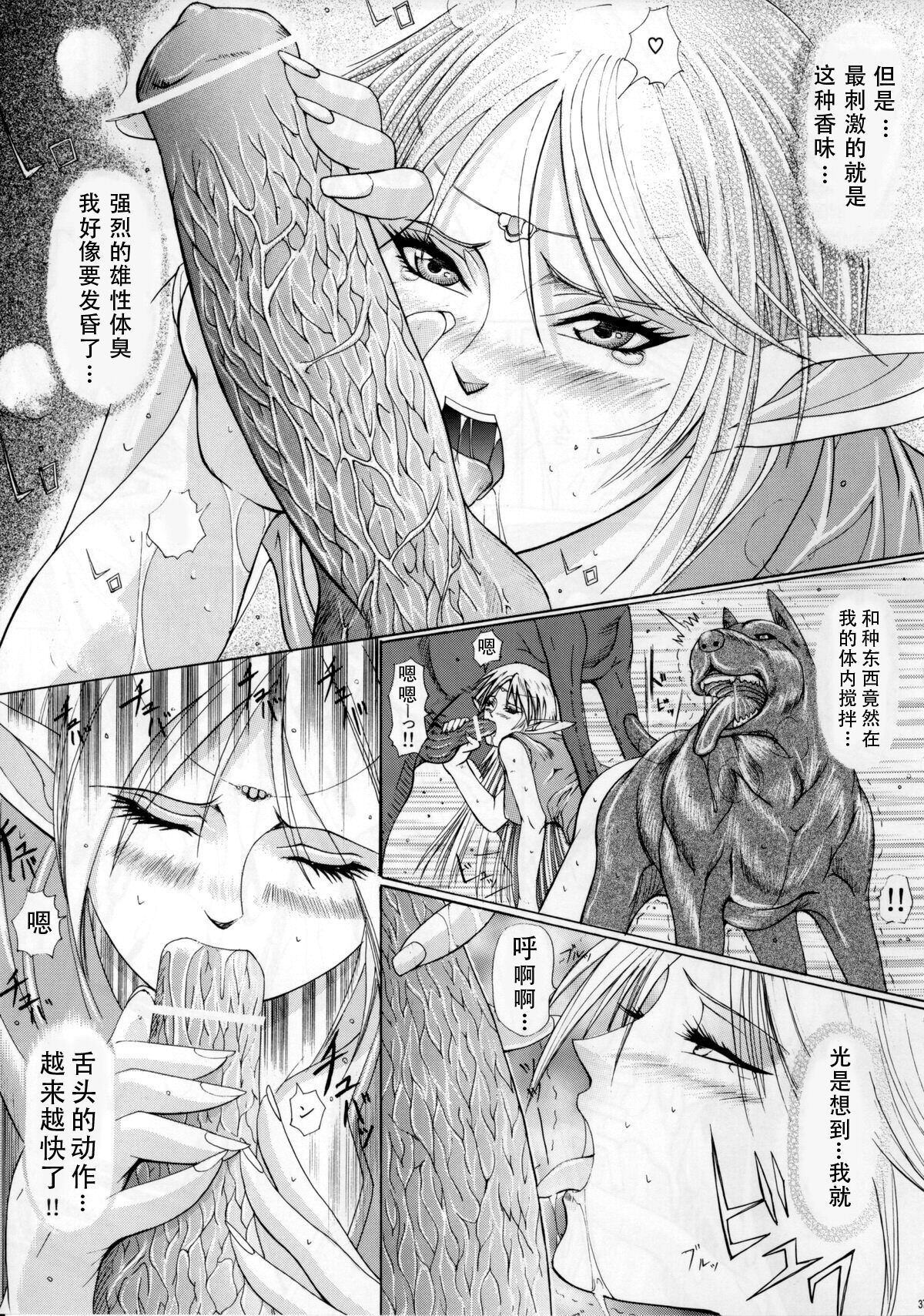 [LUCRETiA (Hiichan)] Ken-Jyuu 3 Sonnet - La Danse de la Fee (Record of Lodoss War) (chinese) Bildnummer 36