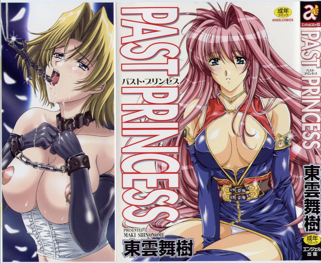 [Shinonome Maki] PAST PRINCESS première image