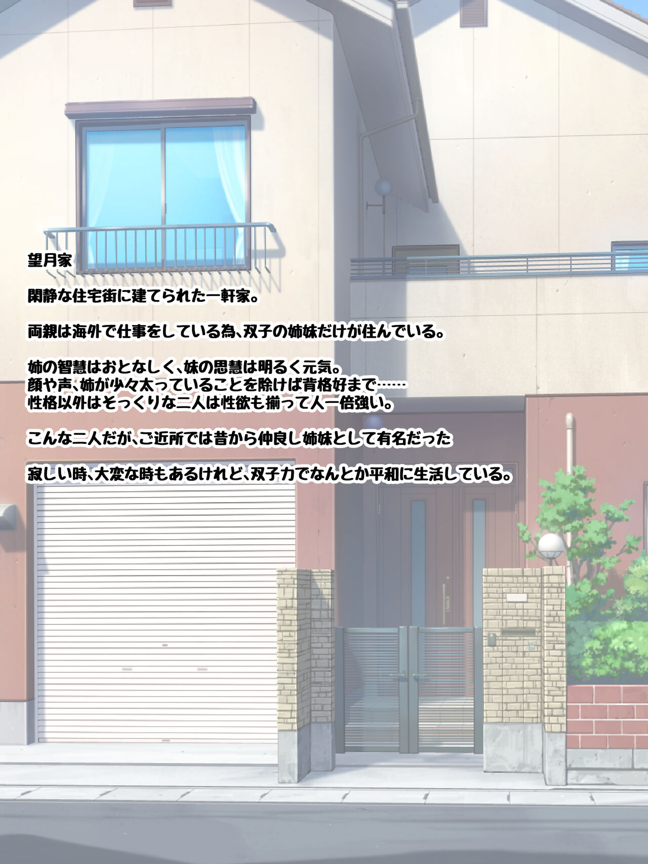 イチャラブツインズ ～オナニー大好き変態姉をお姉ちゃん大好き変態妹が犯したら～ 图片编号 3