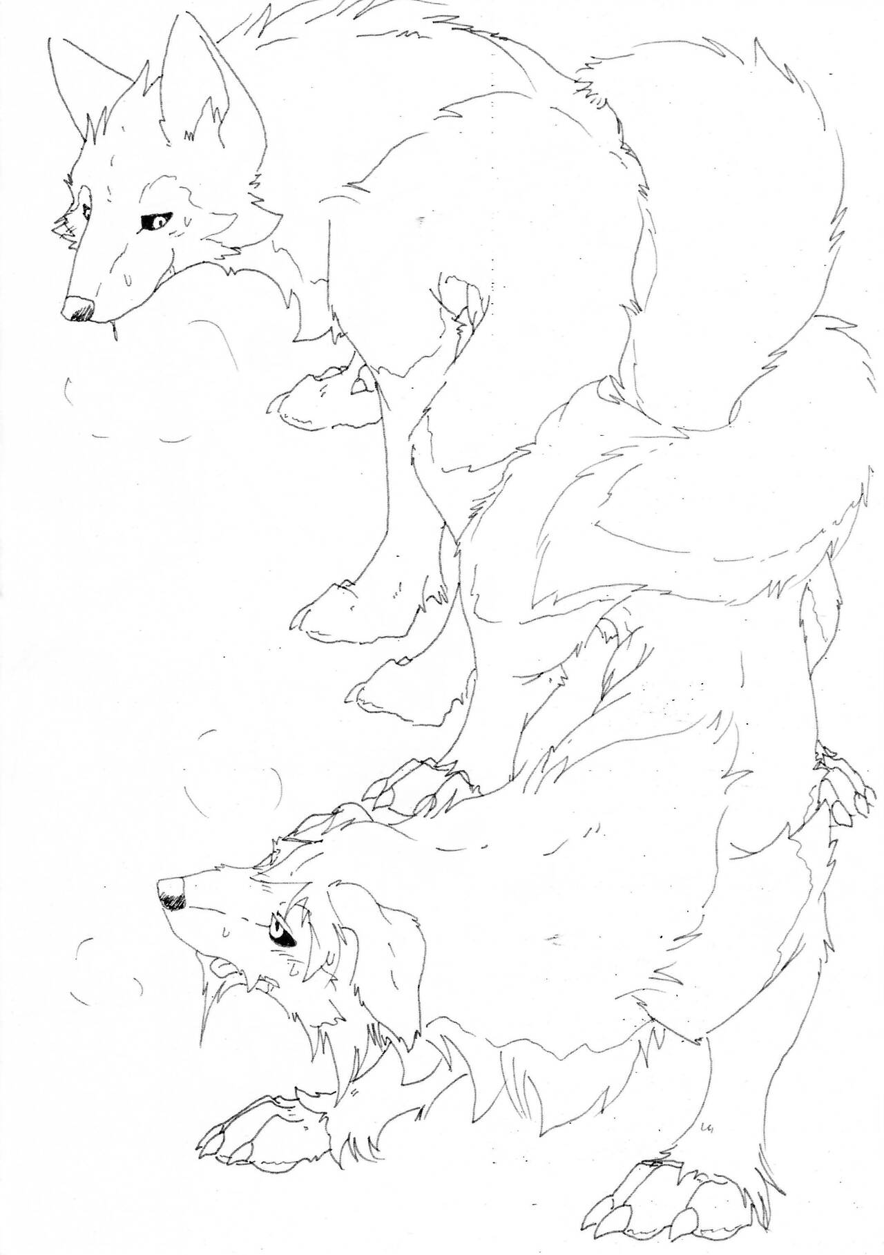 (Kemoket 14) [Wolfonia (Various)] Dearest 2 图片编号 27