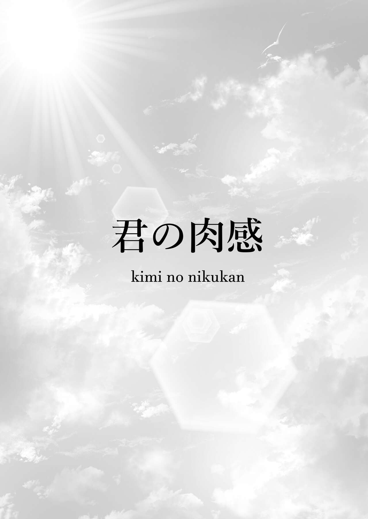 [waryu] Kimi no nikukan [Chinese] [fully汉化] 画像番号 4