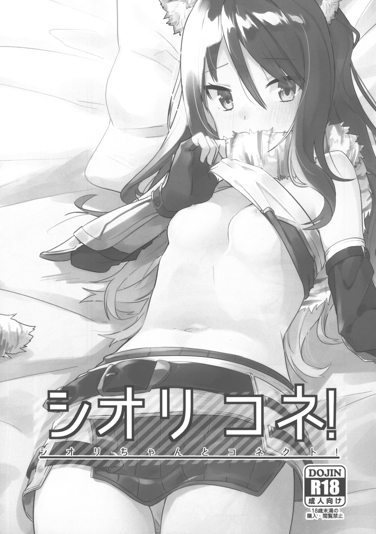 (PriConne Daihyakka 5) [Shinsekai Set (Shobu)] ShioriConne! | 시오리 코네! (Princess Connect! Re:Dive) [Korean] 이미지 번호 1