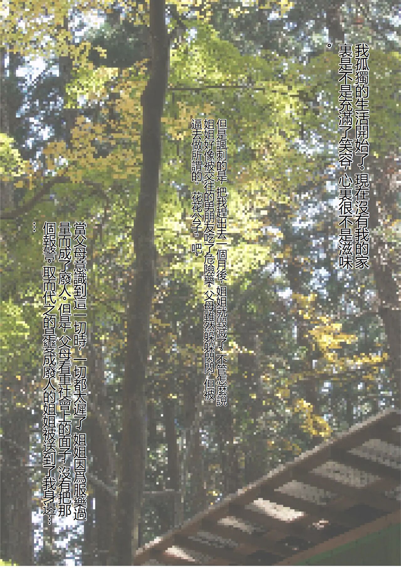 [Waribashi Kouka] Nikuki Ane ha Mono Iwanu Haijin Onaho ni Narimashita [Chinese] изображение № 4