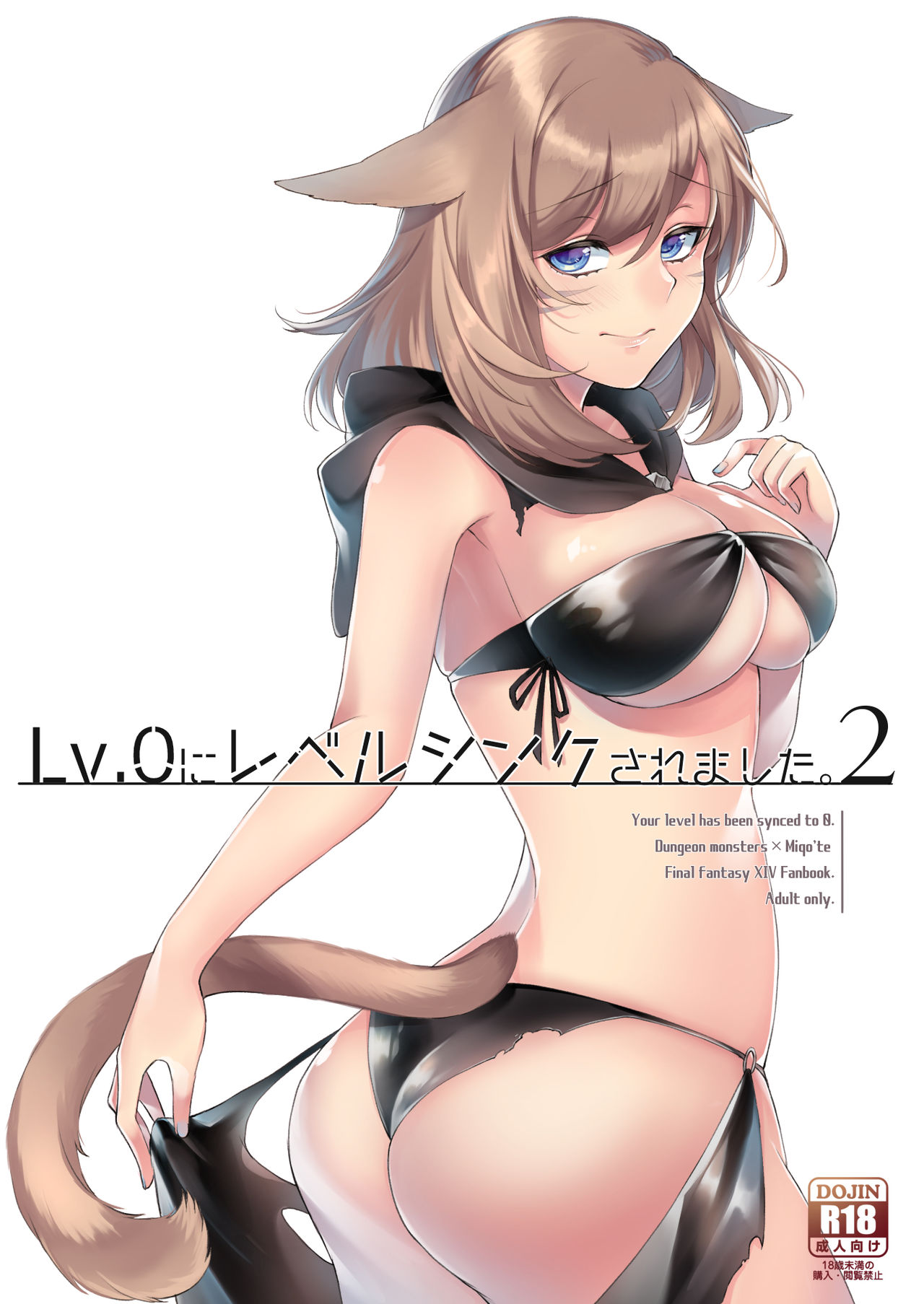 [Unidentified Flying Baumkuchen (Nanase Kokono)] Lv.0 ni Level Sync Saremashita. 2 - Your level has been synced to 0. (Final Fantasy XIV) [Digital] image number 1