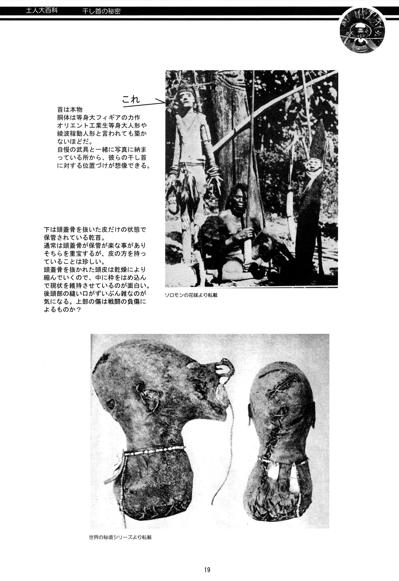[Panda Taishou (Satou Yuuri)] Aborigine Encyclopedia The Secrets of Shrunken Heads 画像番号 19