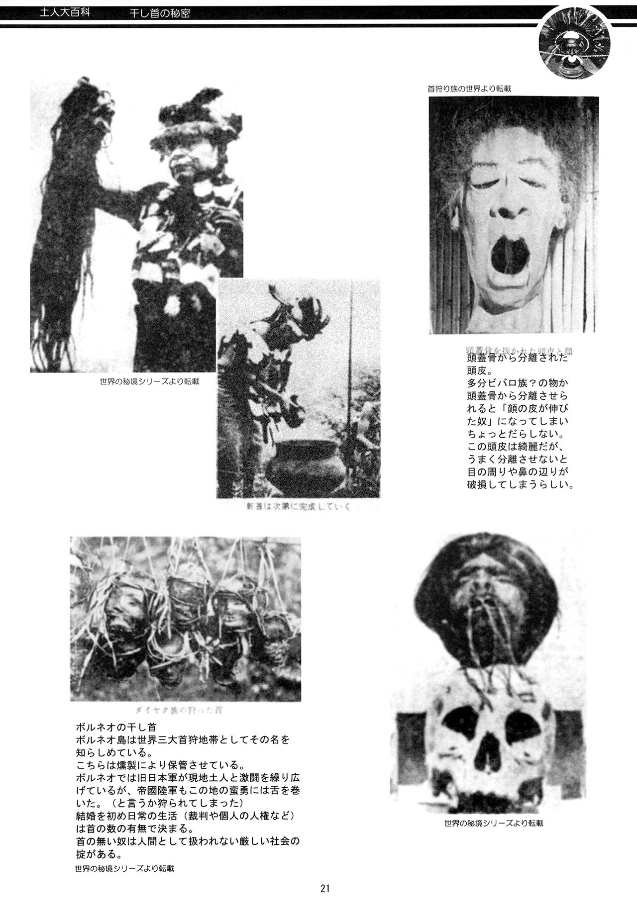 [Panda Taishou (Satou Yuuri)] Aborigine Encyclopedia The Secrets of Shrunken Heads 画像番号 21