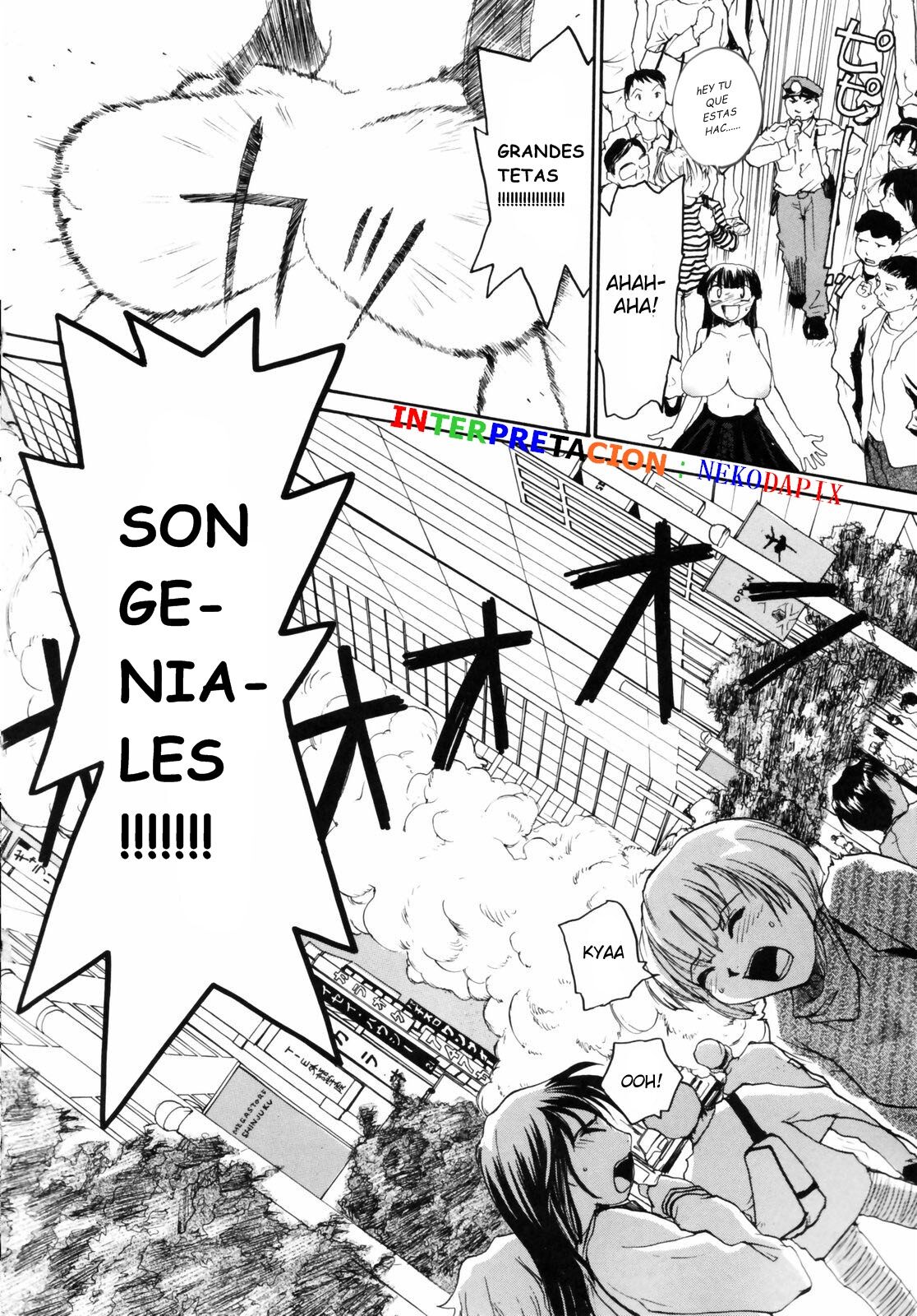 [RaTe] Nippon Kyonyuu Tou - Japanese Big Bust Party [Spanish] [El gato - NekoDapix] 画像番号 8