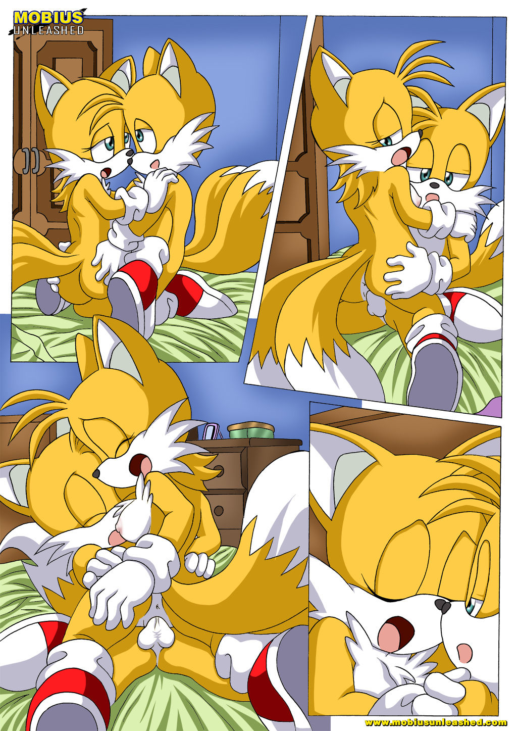 Tails Study (Spanish) 图片编号 14