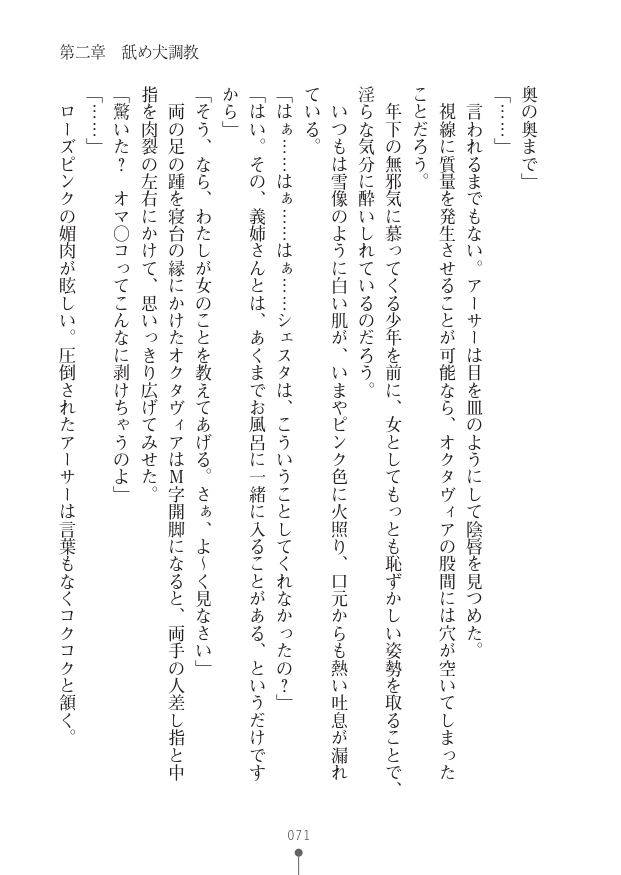 [竹内けん(作)/ 高瀬むぅ(画)]ハーレムヴァルキリー (二次元ドリーム文庫286) 이미지 번호 71