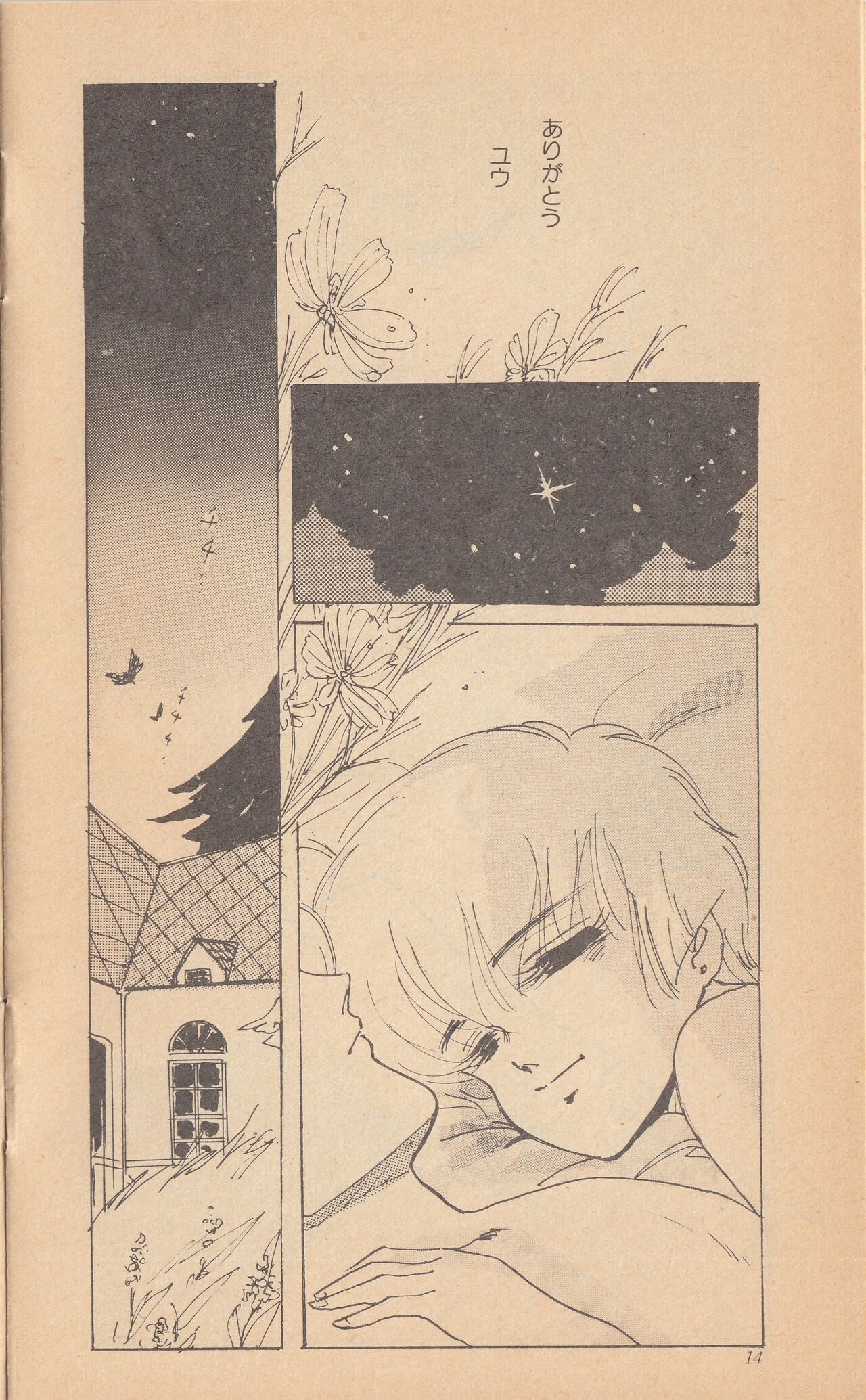 Shining May Image Storybook image number 16