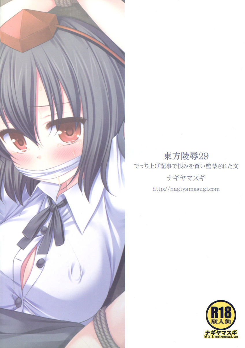 (Kouroumu 9) [Nagiyamasugi (Nagiyama)] Touhou Ryoujoku 29 Decchiage Kiji de Urami o Kai Kankin Sareta Aya (Touhou Project) [Portuguese-BR] [DiegoVPR] imagen número 2