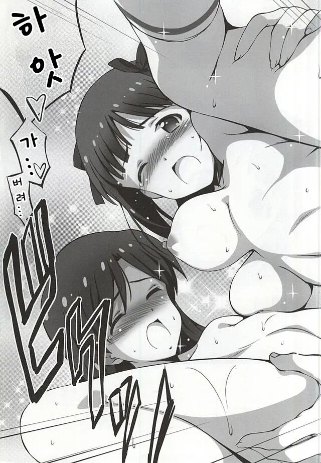 (C88) [Kossorikakuredokoro (Island)] Re:M@STER IDOL ver.HC (THE iDOLM@STER) [Korean] [Sally] 图片编号 28