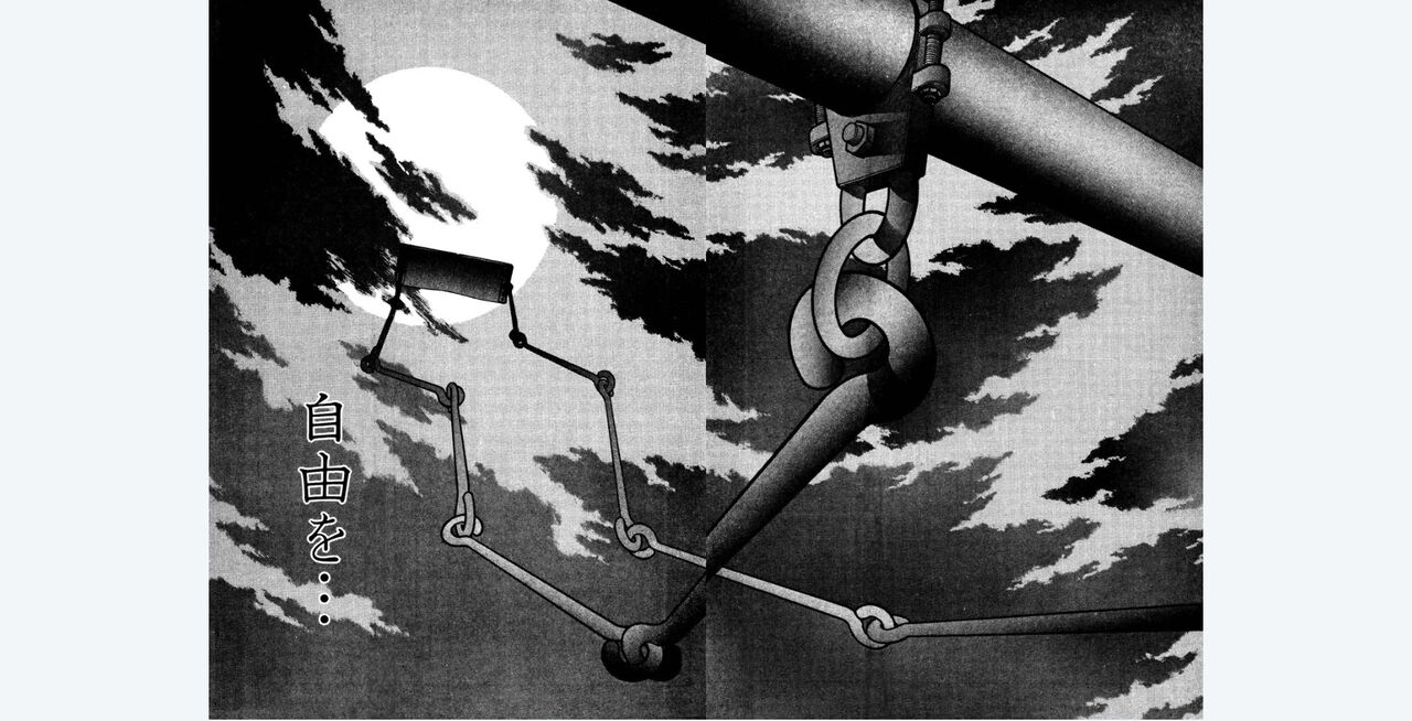 gregrfd numero di immagine  14