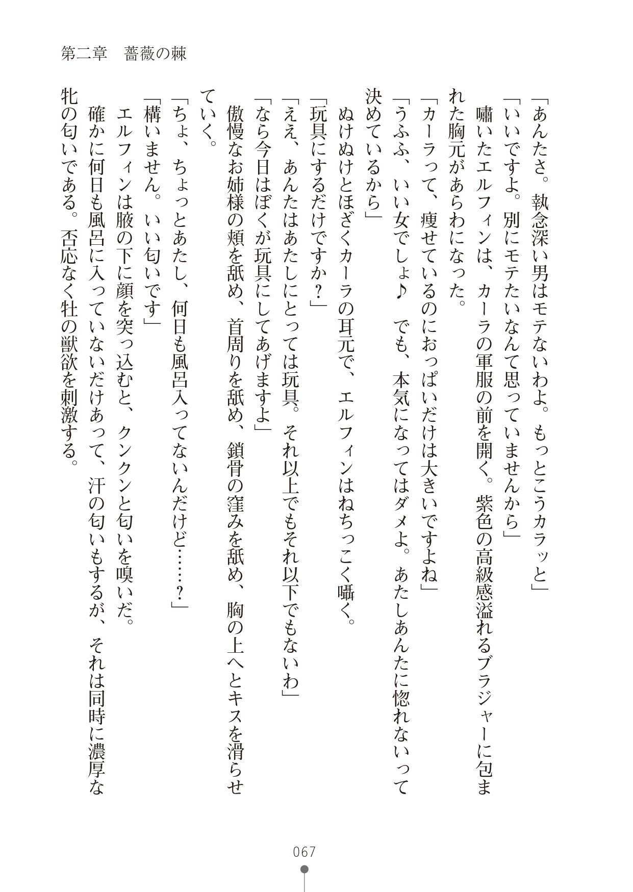 [竹内けん & かん奈] ハーレムレジスタンス2(二次元ドリーム文庫208) image number 67