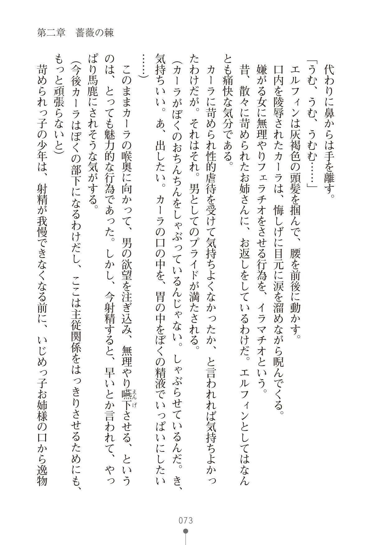 [竹内けん & かん奈] ハーレムレジスタンス2(二次元ドリーム文庫208) image number 73