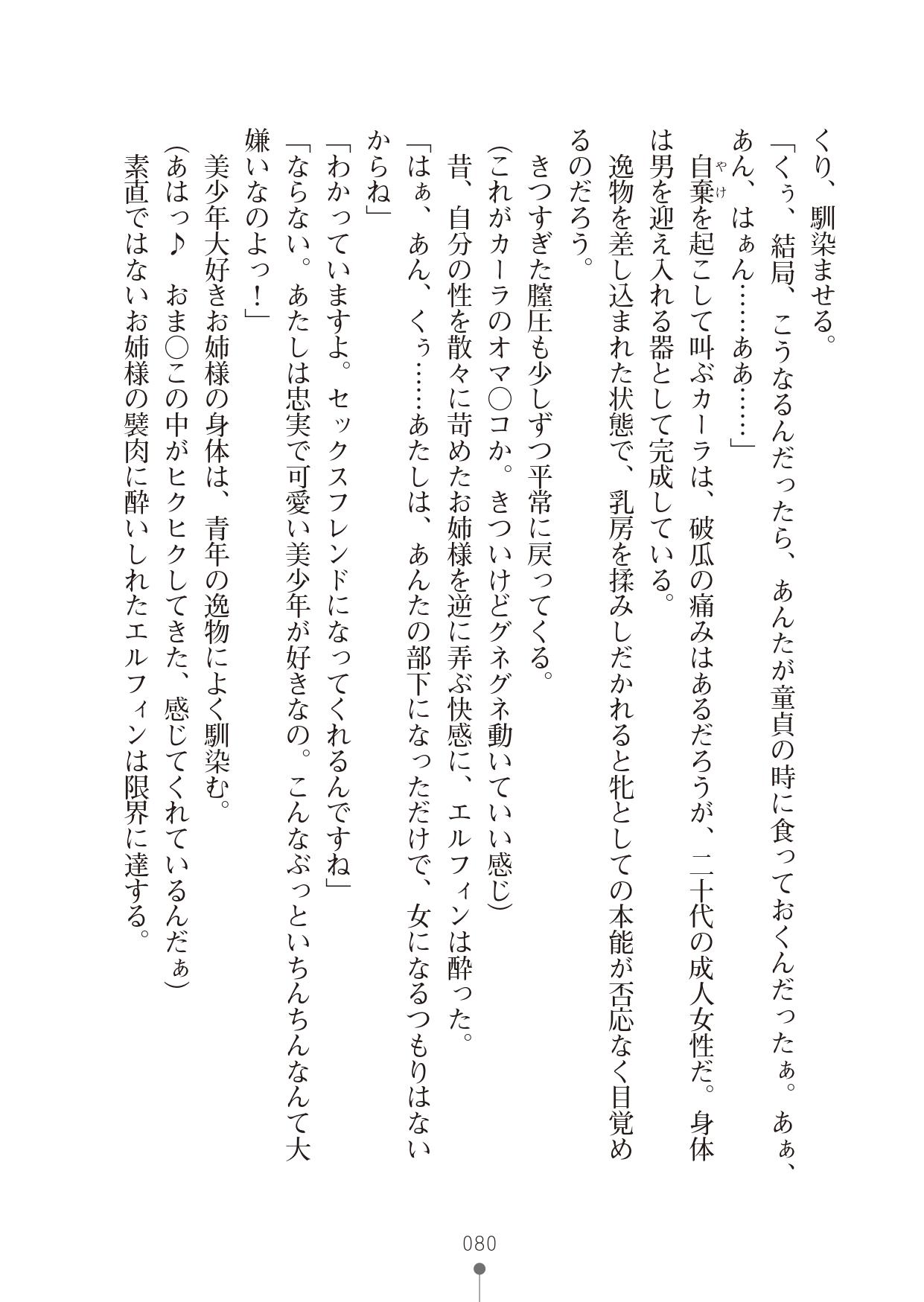 [竹内けん & かん奈] ハーレムレジスタンス2(二次元ドリーム文庫208) image number 80