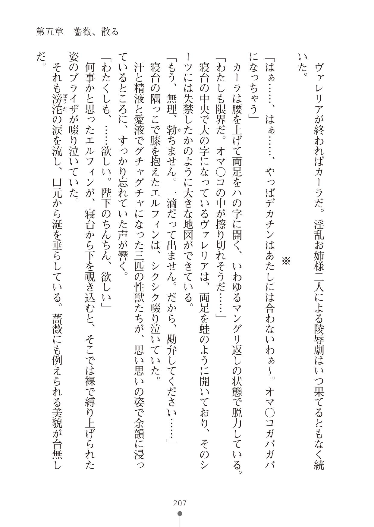 [竹内けん & かん奈] ハーレムレジスタンス2(二次元ドリーム文庫208) image number 207