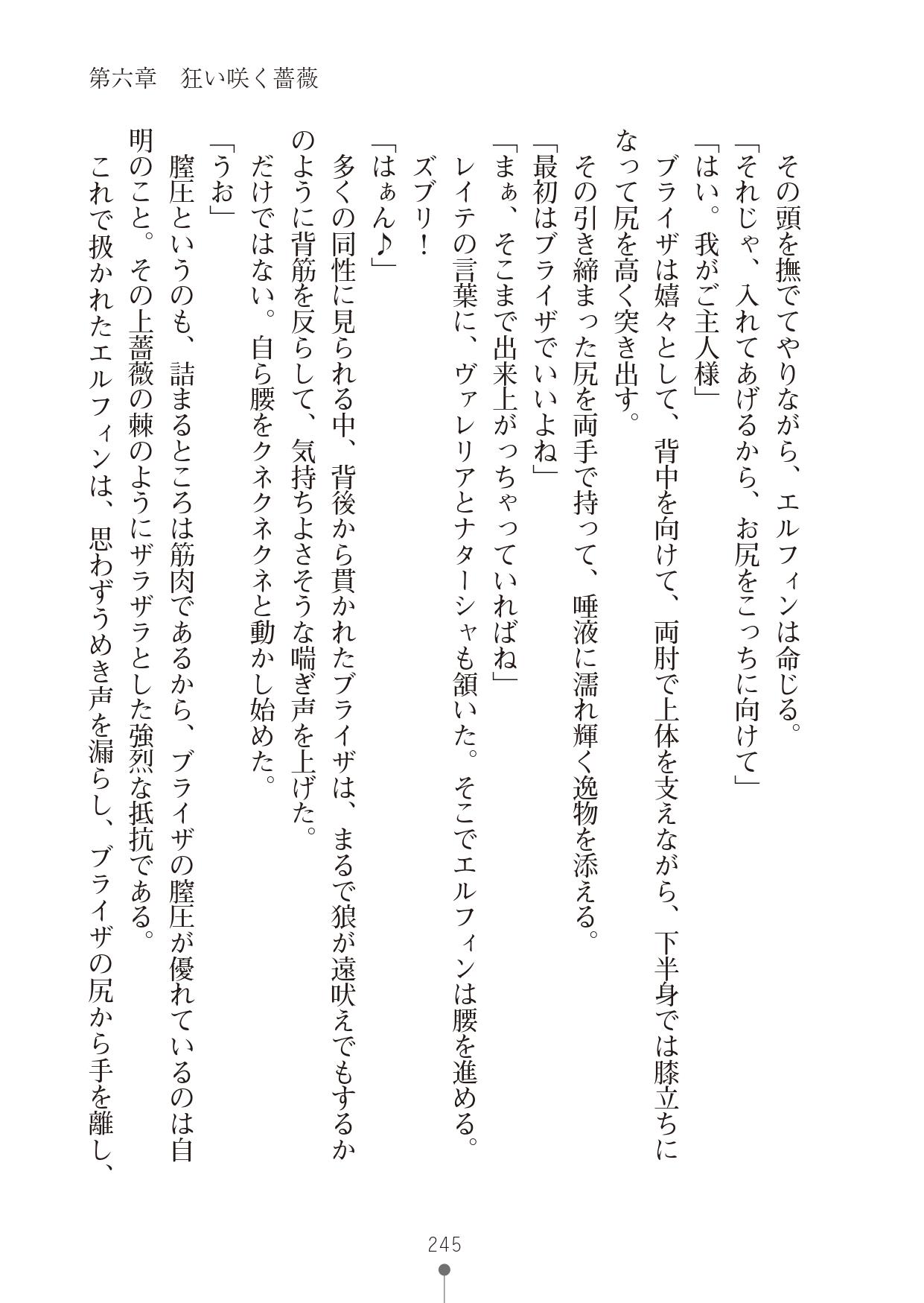 [竹内けん & かん奈] ハーレムレジスタンス2(二次元ドリーム文庫208) image number 245