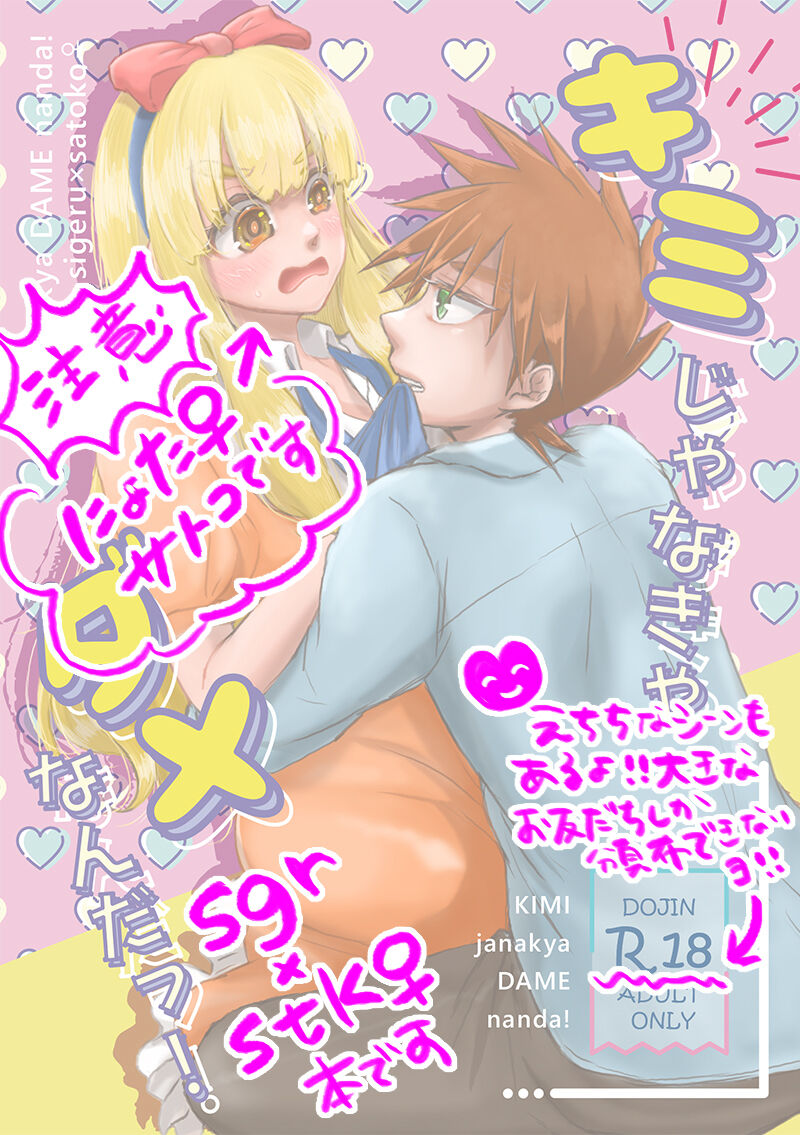 [88time] Kimijanakya damenanda ~tsu.(Pokémon ) 이미지 번호 2