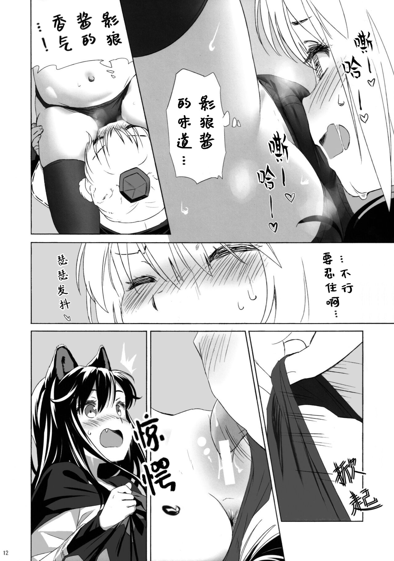 (C101) [Animal Passion (Yude Pea)] Shiro Kuro Ookami (Touhou Project) [Chinese] [貉之丘汉化组] 画像番号 13