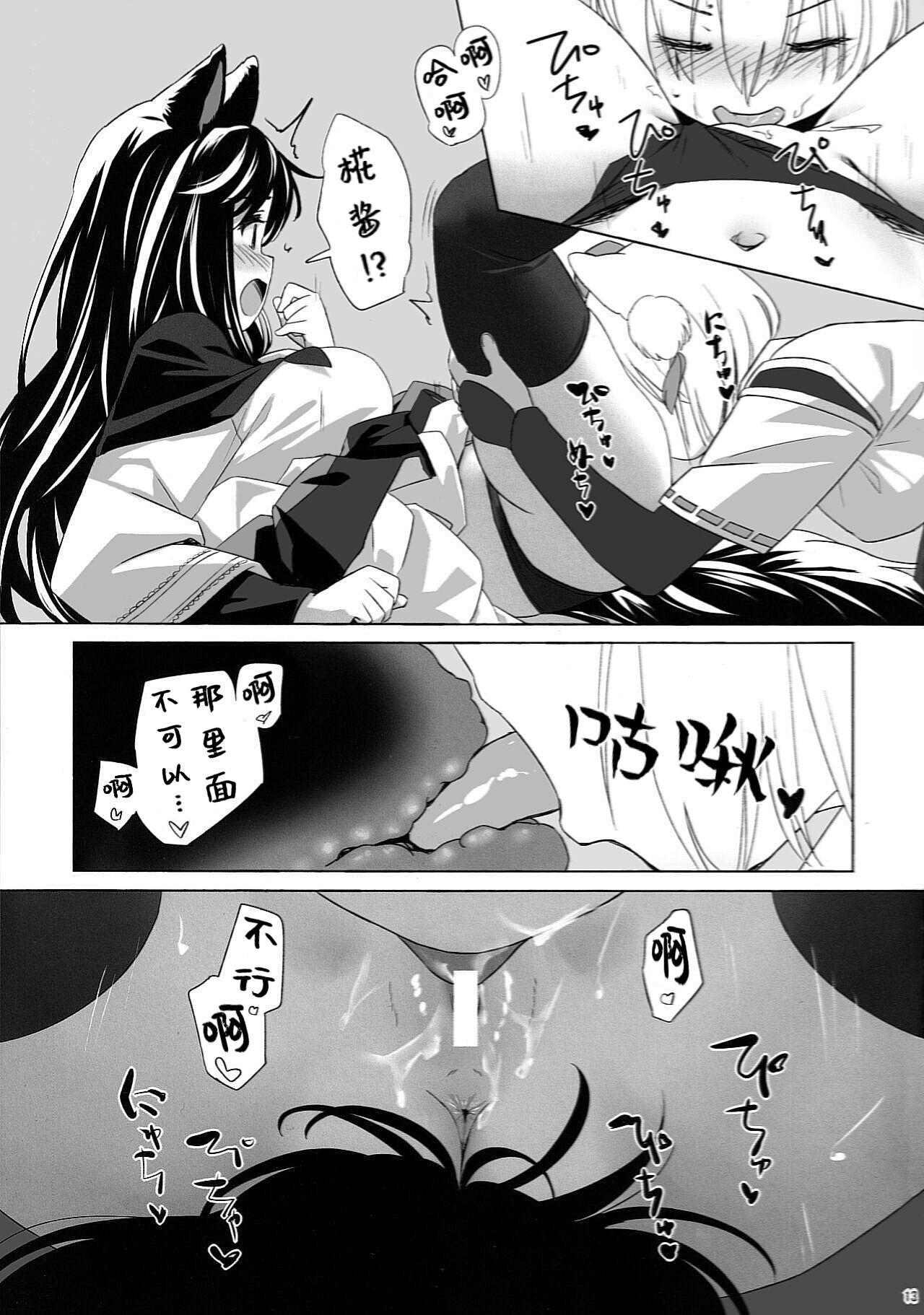 (C101) [Animal Passion (Yude Pea)] Shiro Kuro Ookami (Touhou Project) [Chinese] [貉之丘汉化组] 画像番号 14