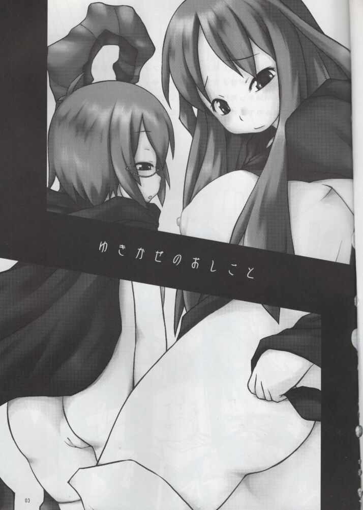 (C74) [Kyokuchi Senyou Guild (Akanashi Toshiyuki)] Yukikaze no Oshigoto (Zero no Tsukaima) image number 3