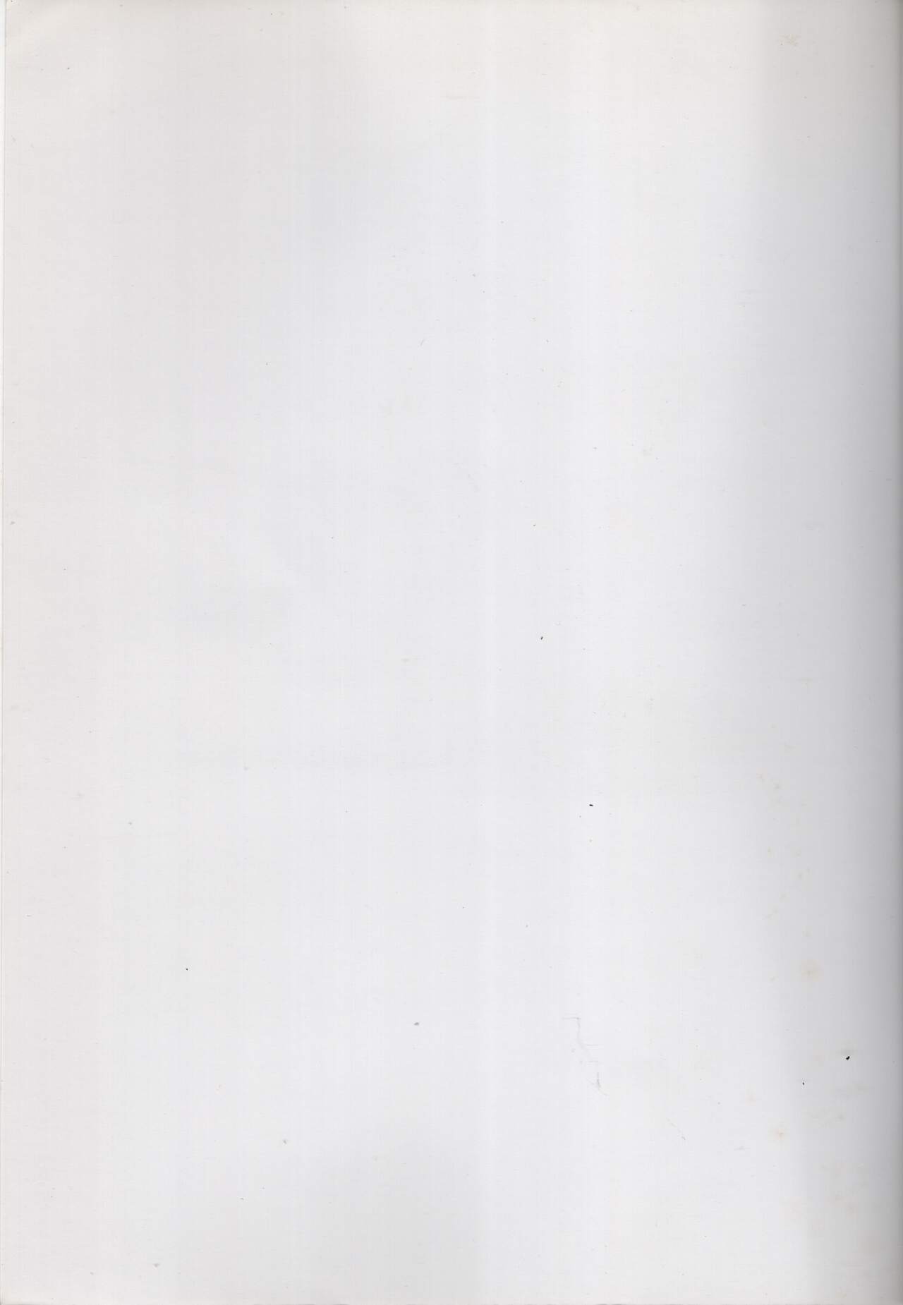 (C74) [Kyokuchi Senyou Guild (Akanashi Toshiyuki)] Yukikaze no Oshigoto (Zero no Tsukaima) image number 23