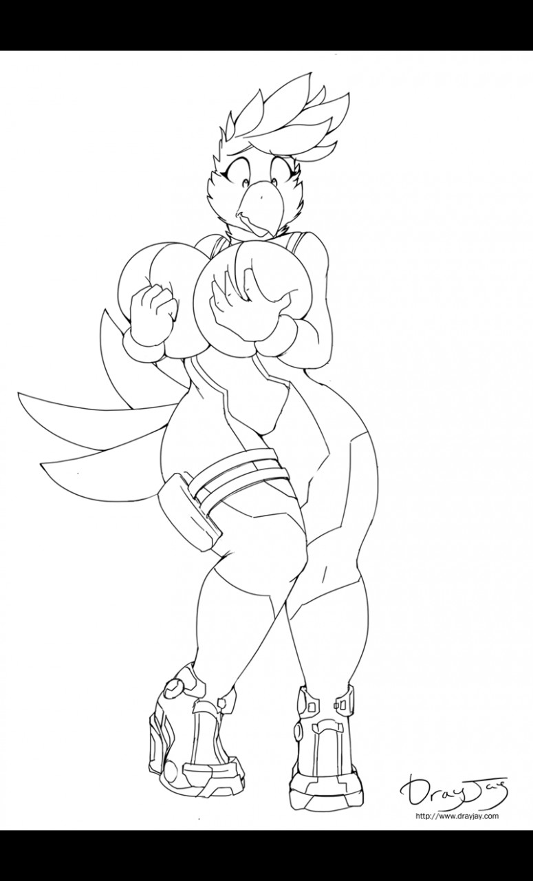 Anna the cockatoo [luke154] 图片编号 32