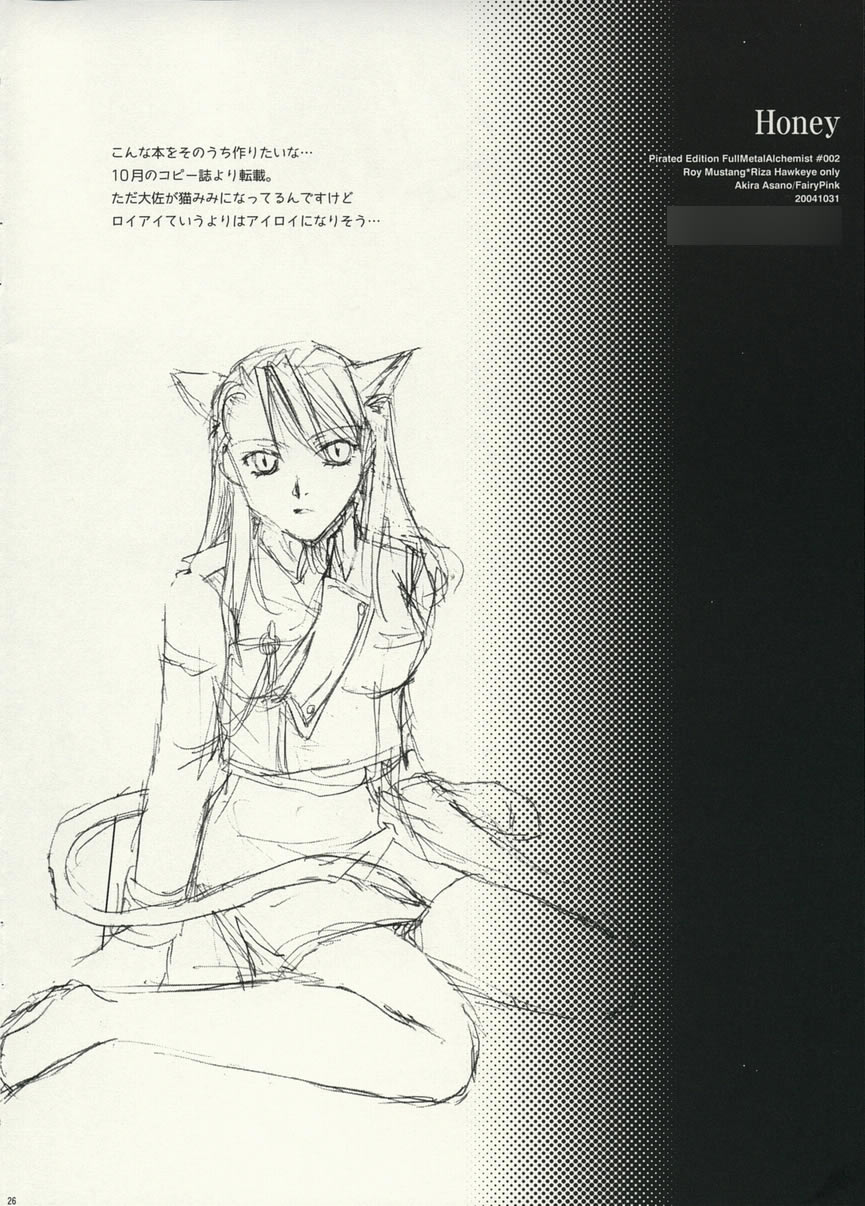 [Fairy Pink (Asano Akira)] Honey (Fullmetal Alchemist) 图片编号 25
