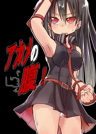(C96) [Felcferc (Yabai Yuta)] Akame no Hara! (Akame ga Kill!) [Sample] première image