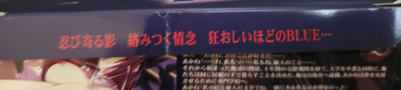 [LiLiM DARKNESS] Triangle Blue Box Box and Manuals 图片编号 7